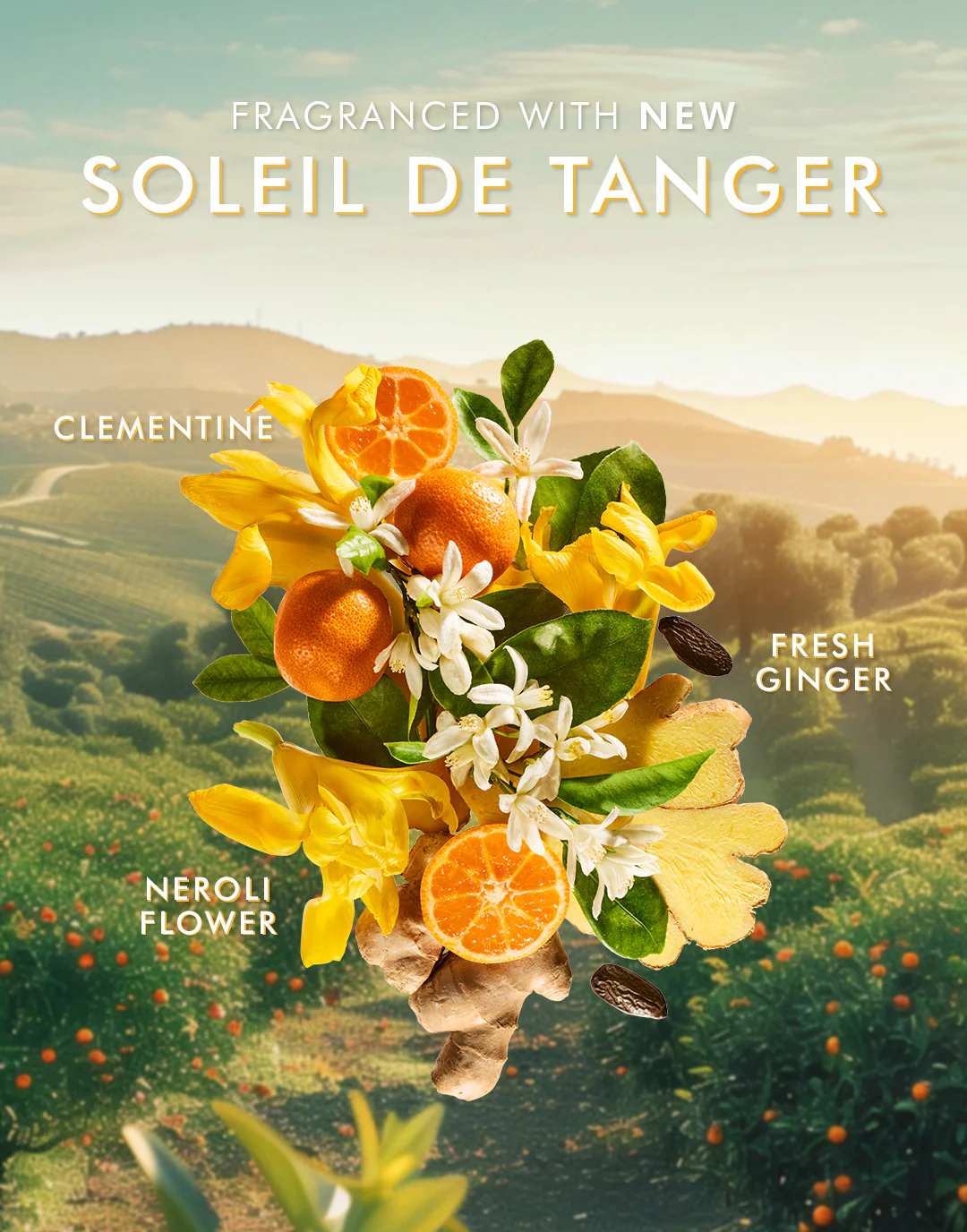 Shower Gel Soleil de Tanger - Image 4